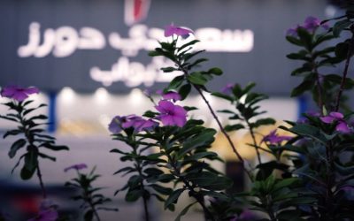 فيلم مصنع سعودي دورز